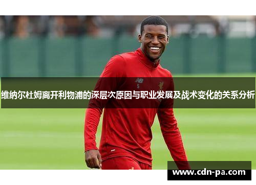 维纳尔杜姆离开利物浦的深层次原因与职业发展及战术变化的关系分析