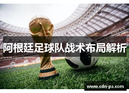 阿根廷足球队战术布局解析