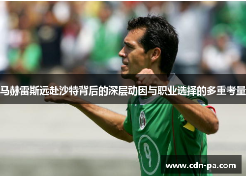 马赫雷斯远赴沙特背后的深层动因与职业选择的多重考量