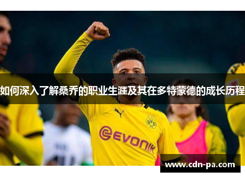 如何深入了解桑乔的职业生涯及其在多特蒙德的成长历程