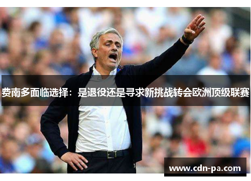 费南多面临选择：是退役还是寻求新挑战转会欧洲顶级联赛